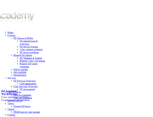 Tablet Screenshot of dj-academy.ch